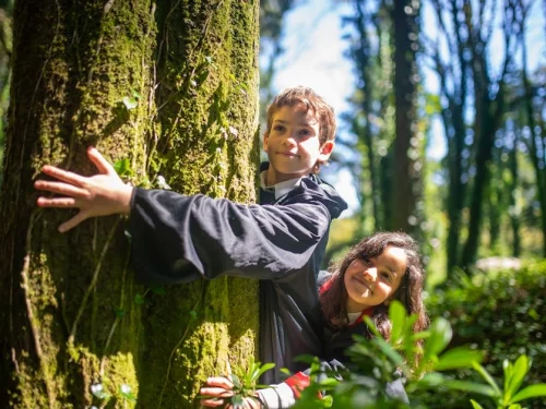 Doğum Haritası Hesaplama ve Astrolojideki Önemi